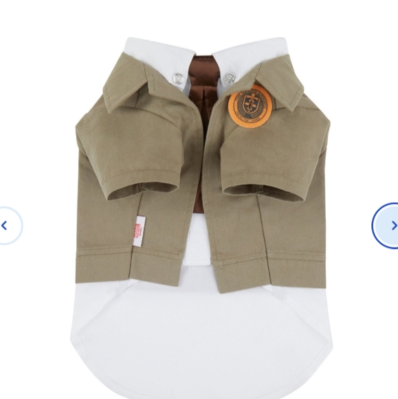 Loki Variant Dog Halloween costume - Picture 5 of 6